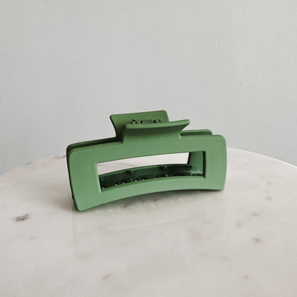 Dolphin Clip